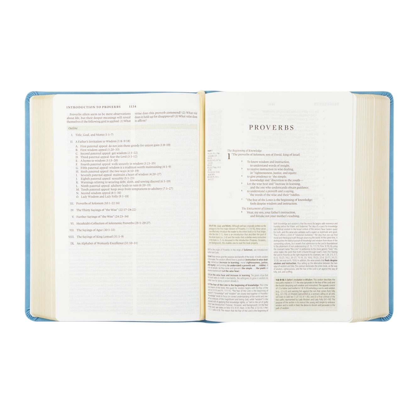 ESV Study Bible - Butterfly