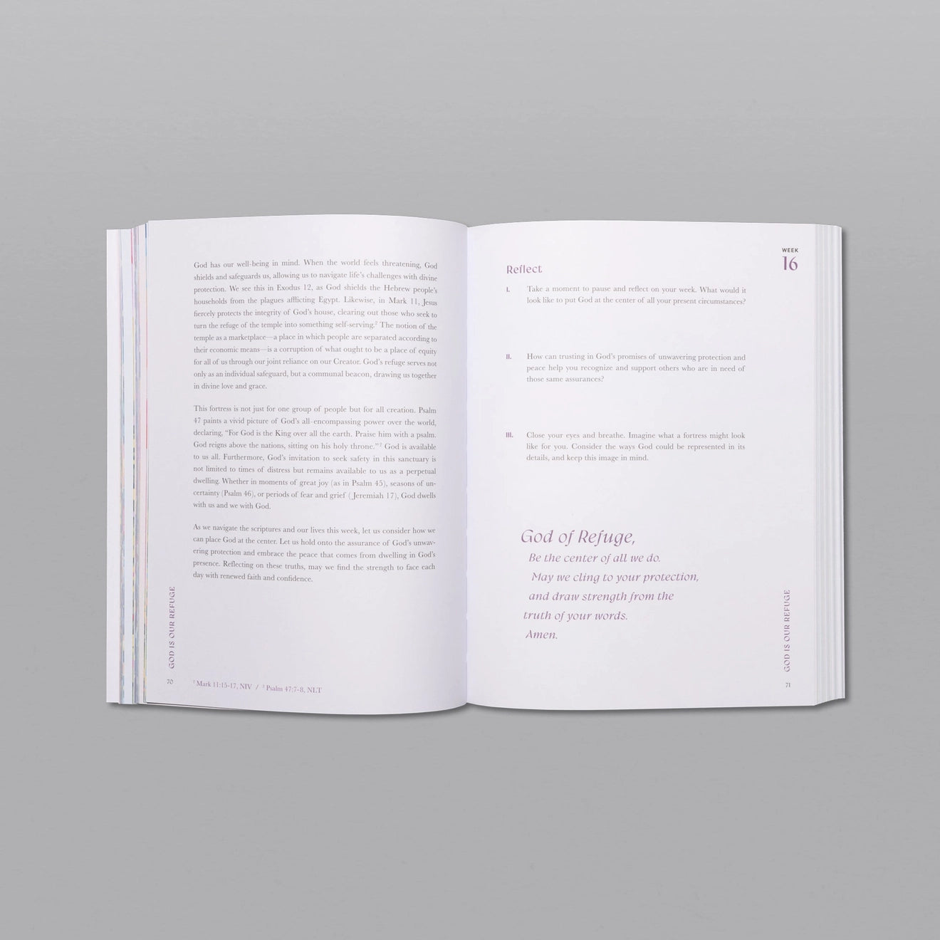 A Beautiful Year in the Bible: the 52-Week Bible Study For Women