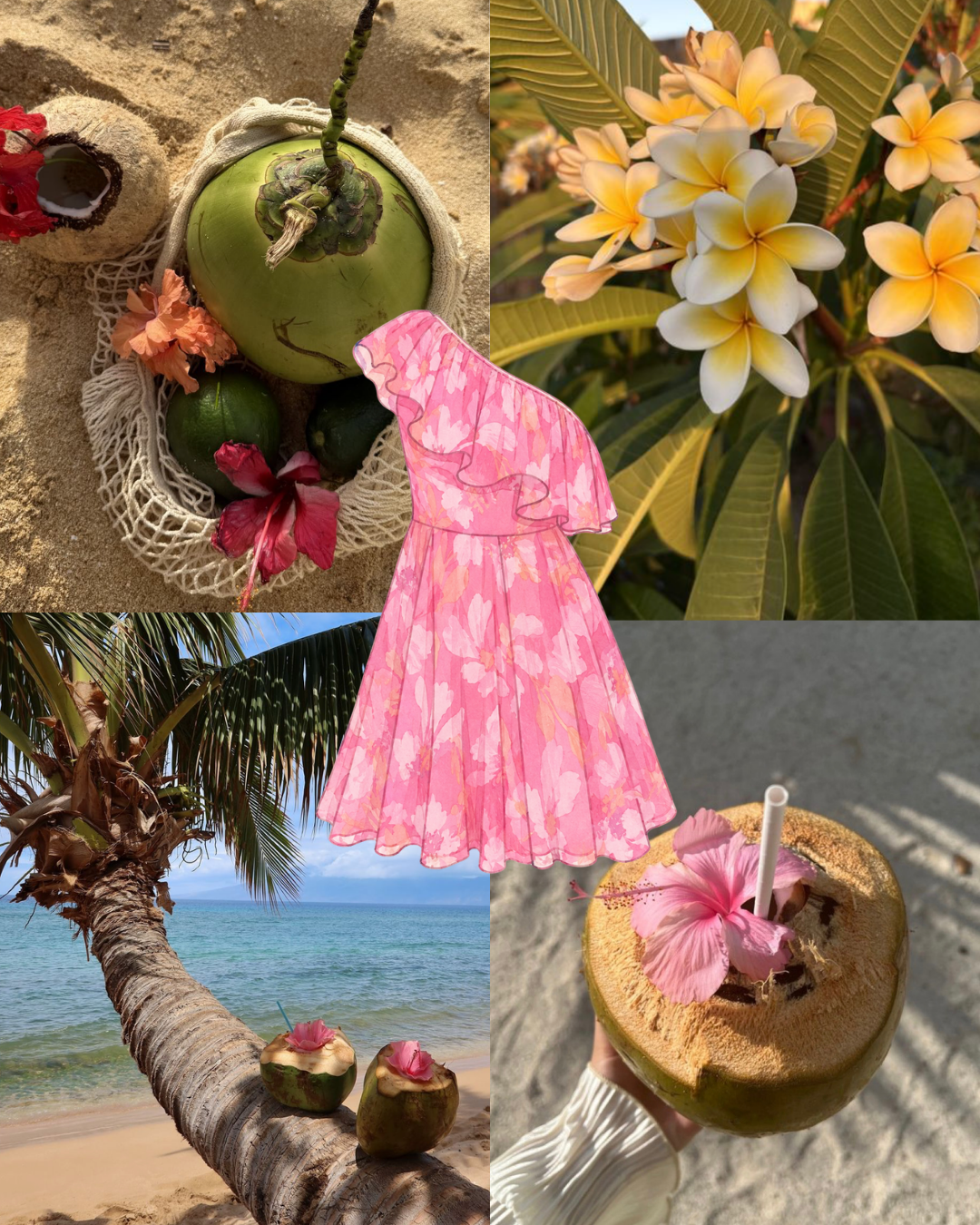 Bahama Mini