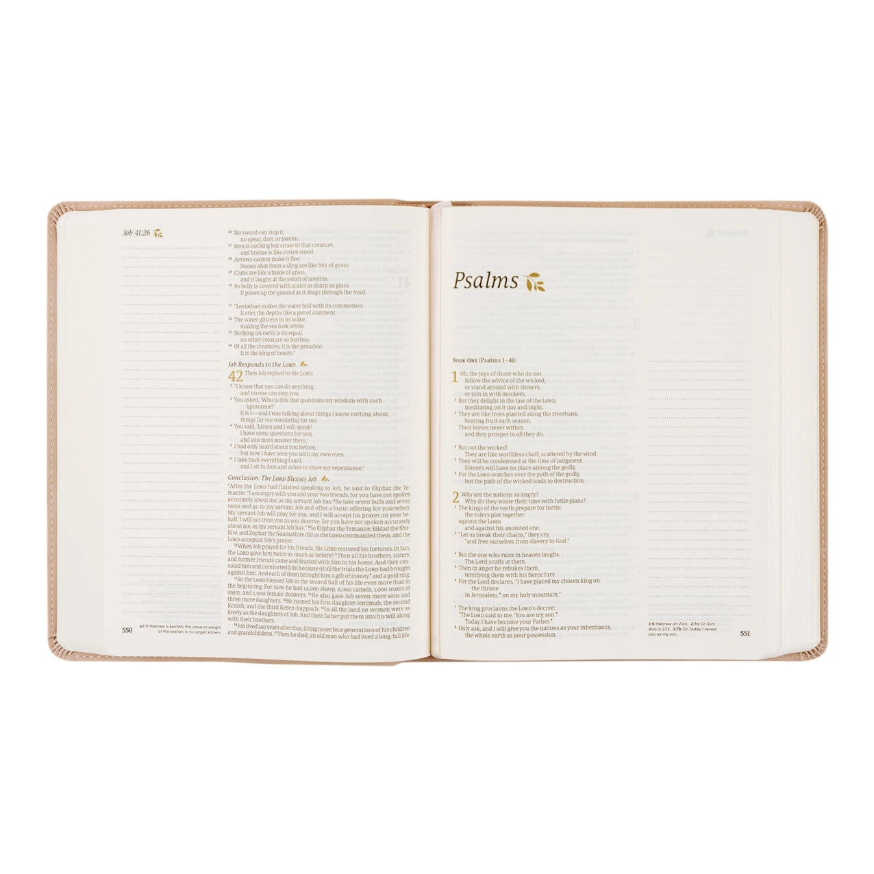 NLT Notetaking Bible - Flourish