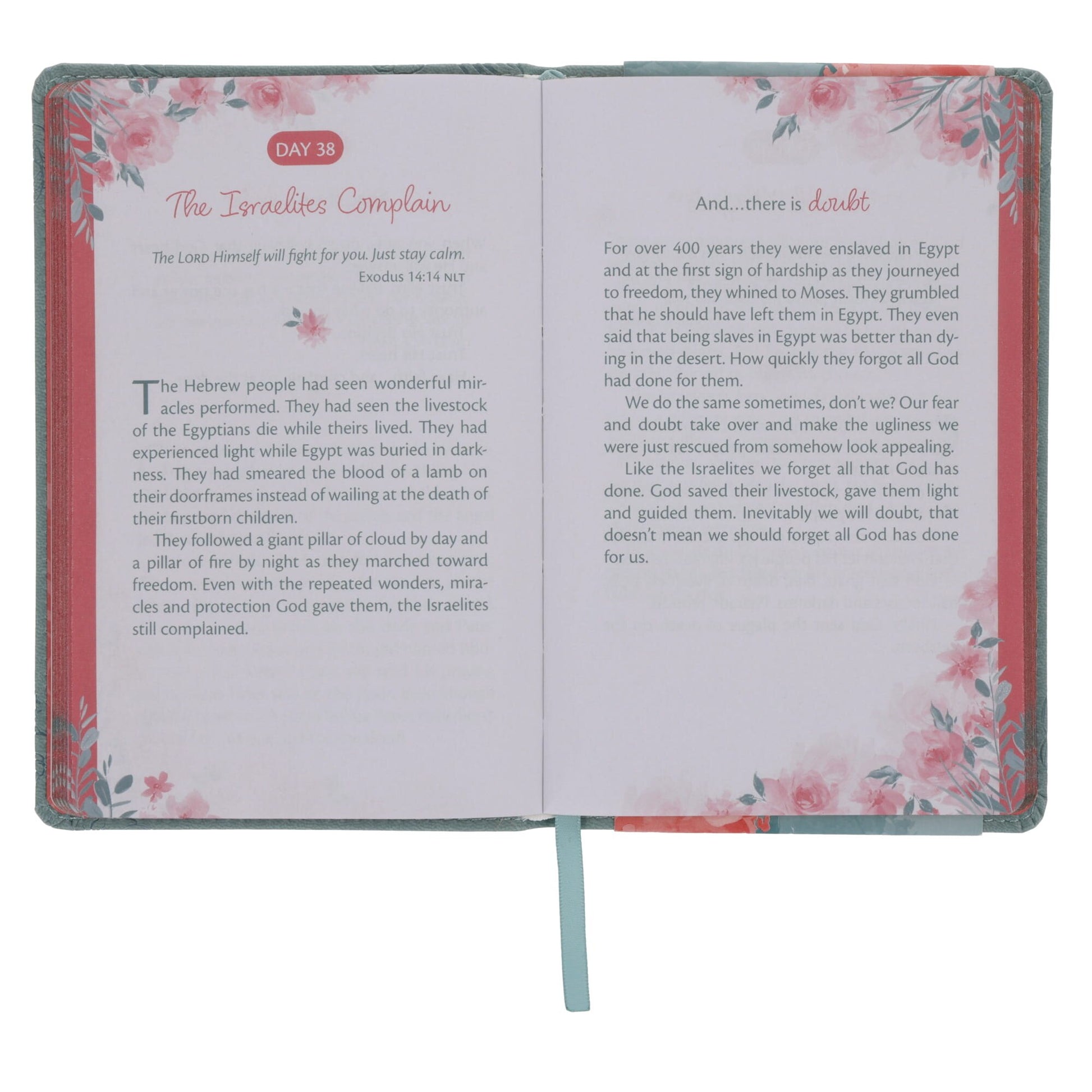 Trusting God's Plan 90 Day Devotional