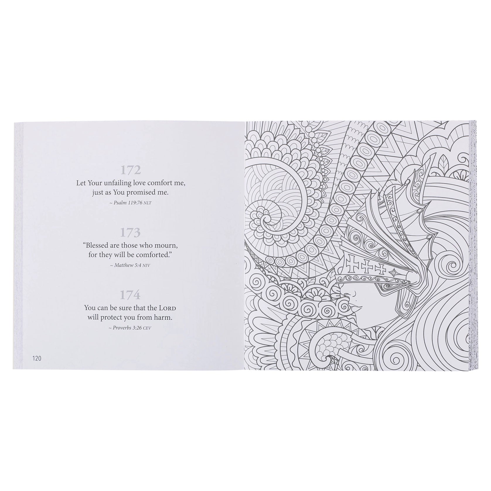 365 Promises Coloring Book