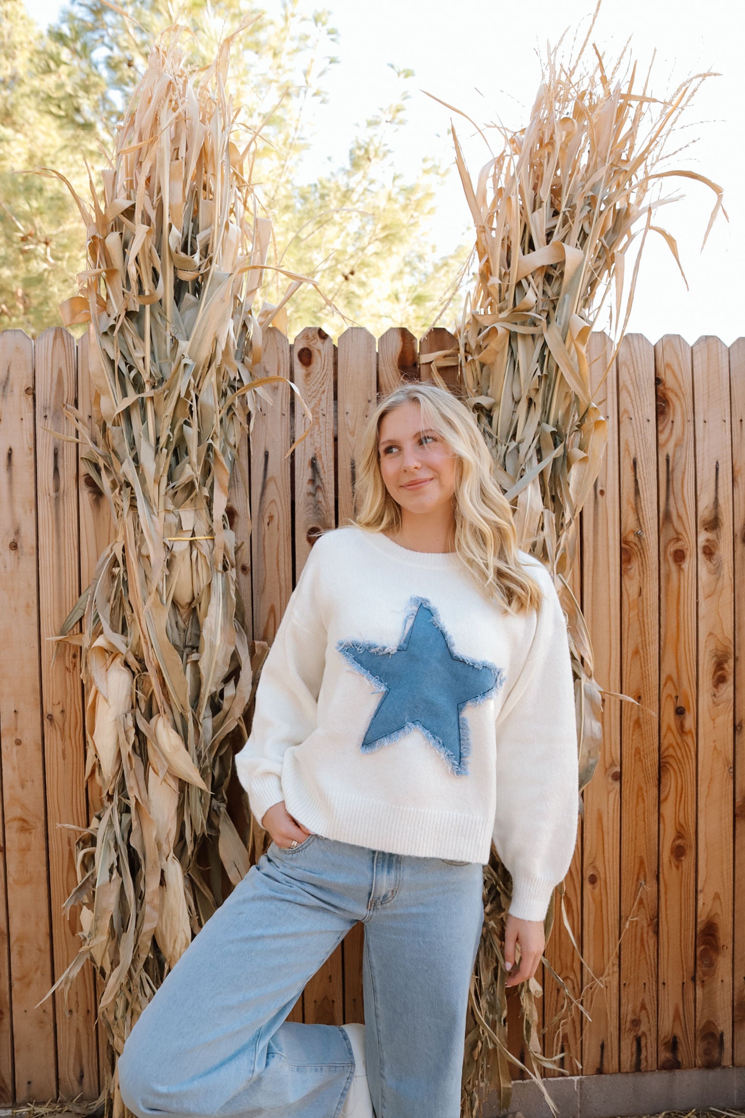 Stitch Crew - Denim Star