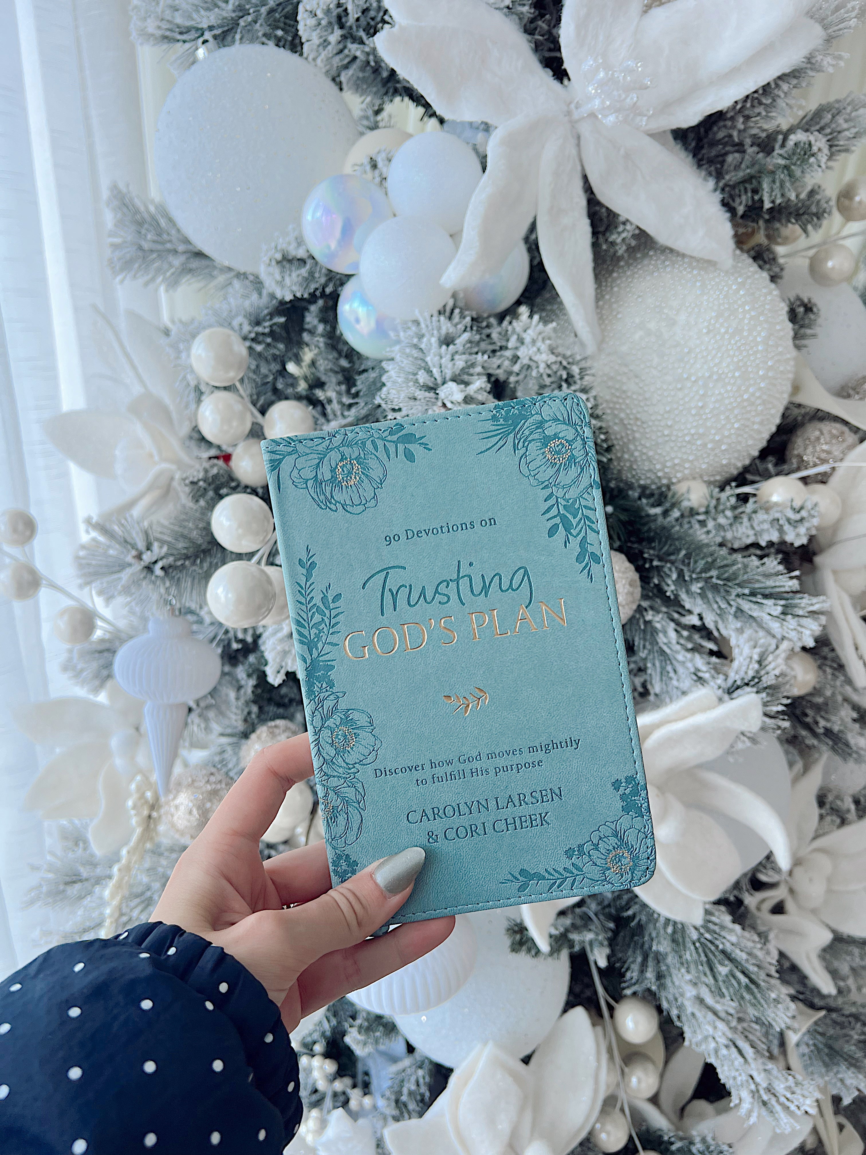 Trusting God's Plan 90 Day Devotional