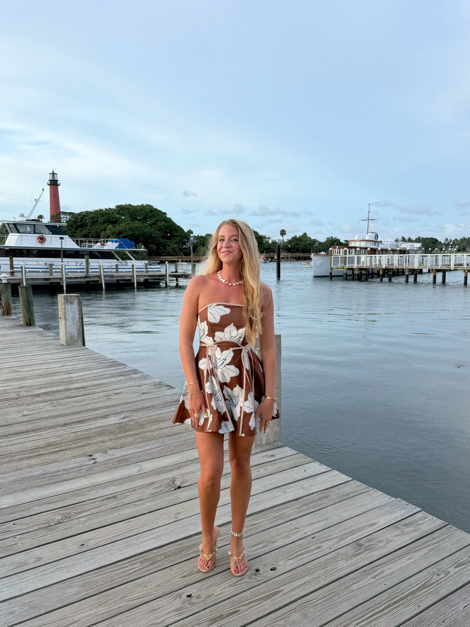 The Lily Mini Dress