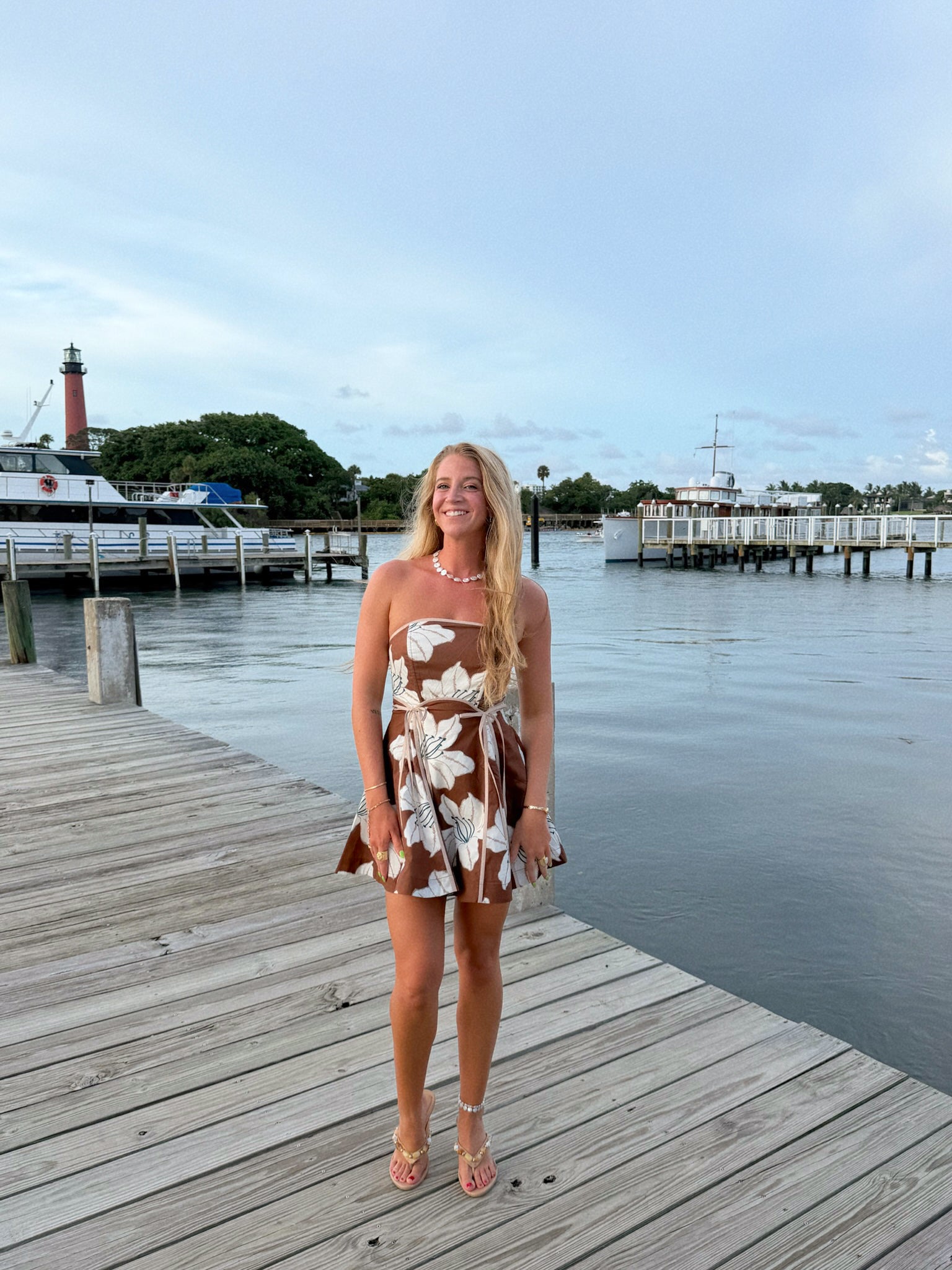 The Lily Mini Dress