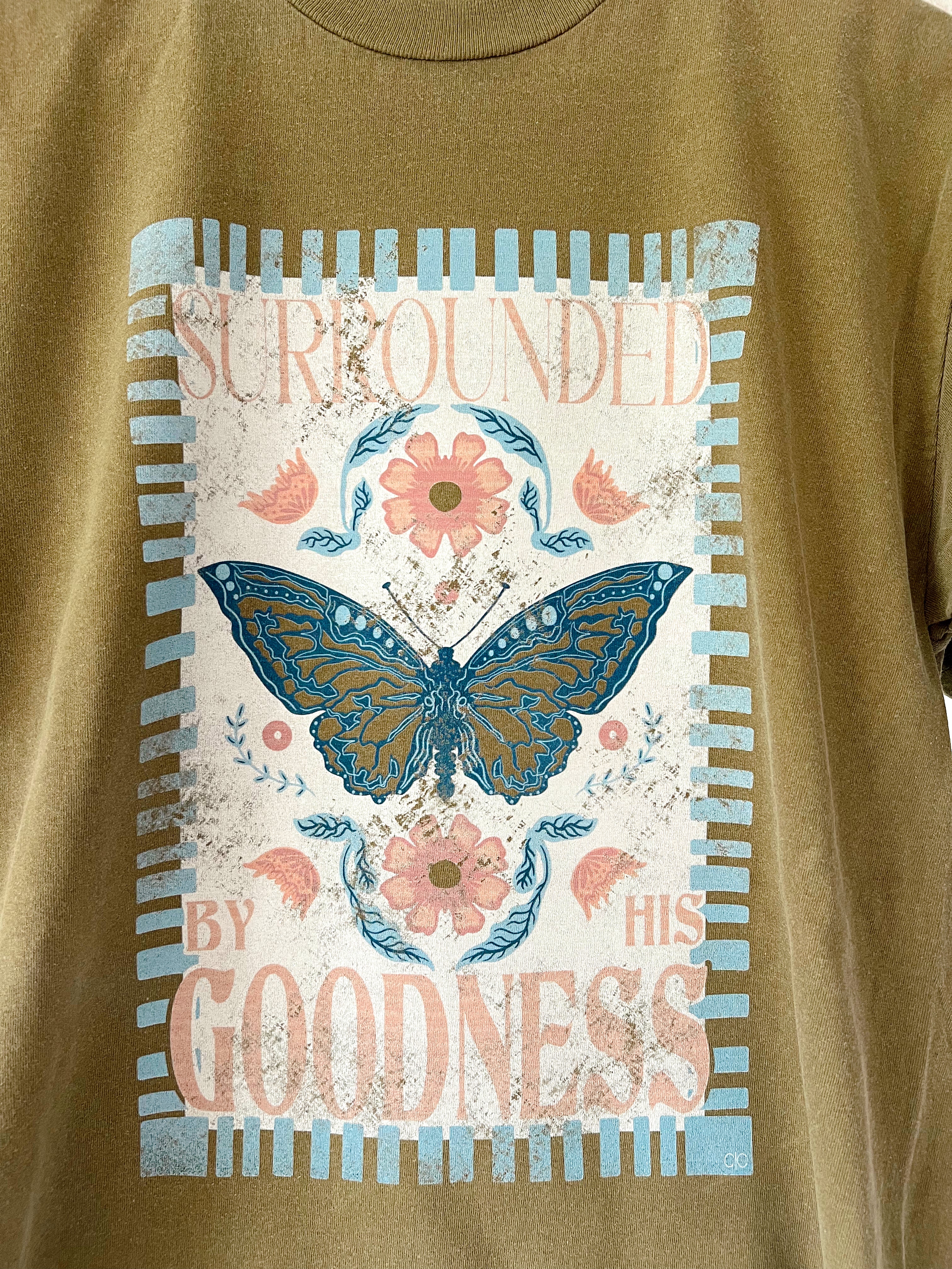 'Surrounded by His Goodness' Graphic