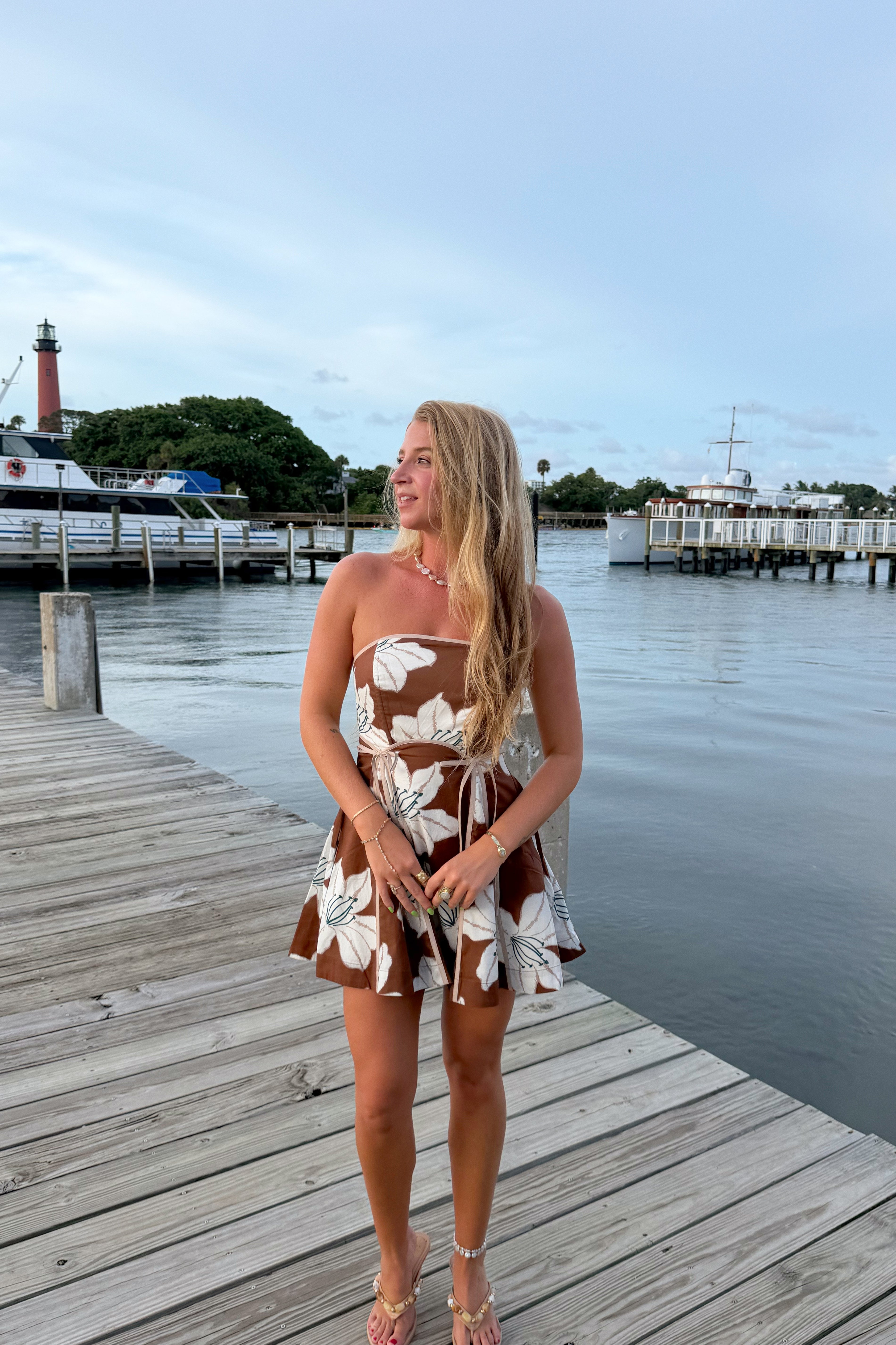 The Lily Mini Dress
