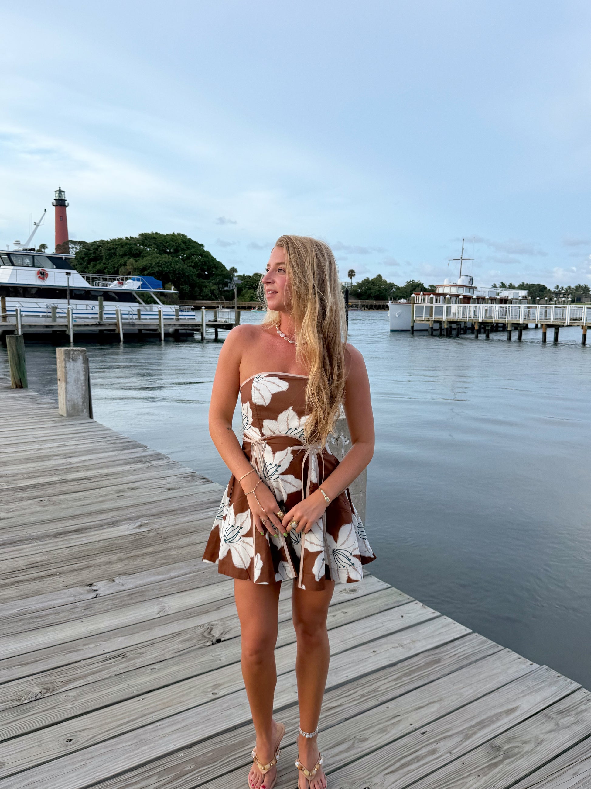 The Lily Mini Dress