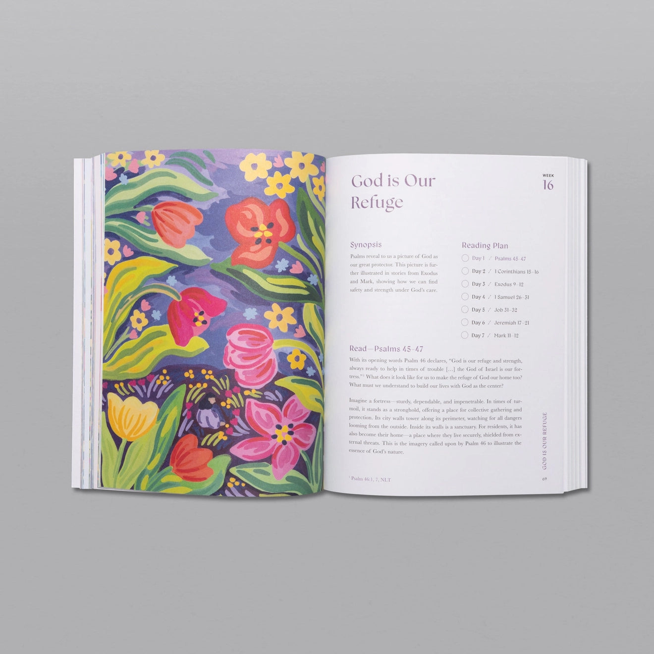 A Beautiful Year in the Bible: the 52-Week Bible Study For Women